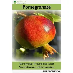 Pomegranate (e-könyv)