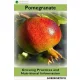 Pomegranate (e-könyv)