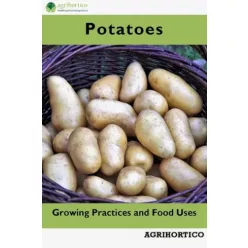 Potatoes (e-könyv)