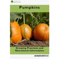 Pumpkins (e-könyv)