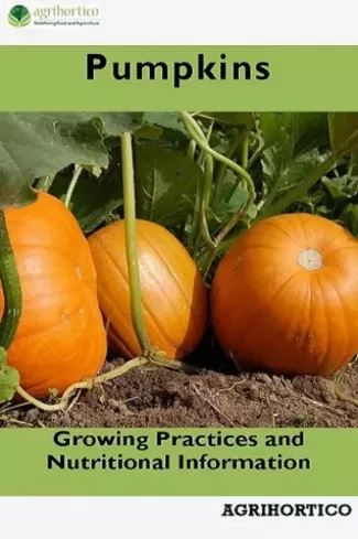 Pumpkins (e-könyv)