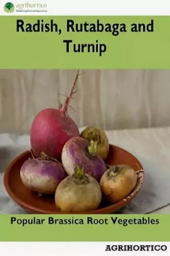 Radish, Rutabaga and Turnip (e-könyv)