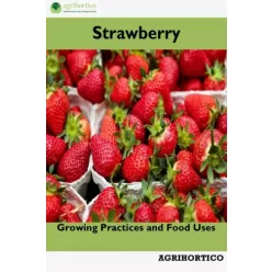 Strawberry (e-könyv)