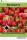 Strawberry (e-könyv)