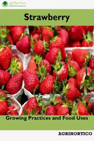Strawberry (e-könyv)