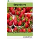 Strawberry (e-könyv)