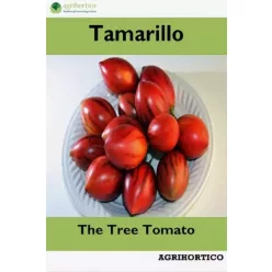 Tamarillo (e-könyv)