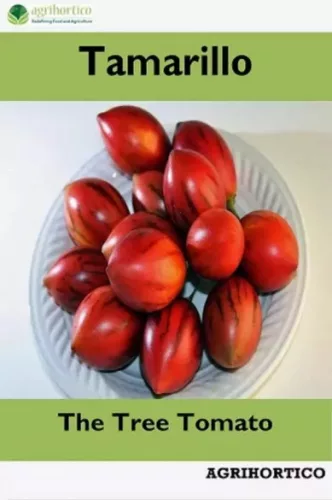 Tamarillo (e-könyv)