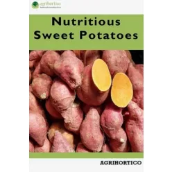 Nutritious Sweet Potatoes (e-könyv)