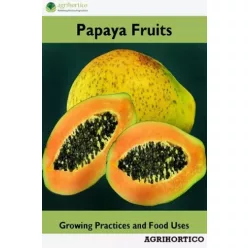 Papaya Fruits (e-könyv)
