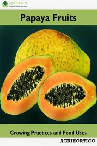 Papaya Fruits (e-könyv)