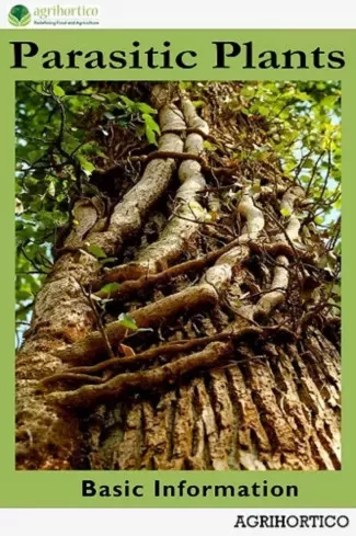 Parasitic Plants (e-könyv)