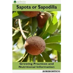 Sapota or Sapodilla (e-könyv)