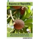 Sapota or Sapodilla (e-könyv)