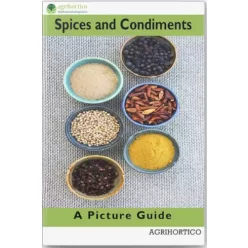 Spices and Condiments (e-könyv)