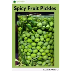 Spicy Fruit Pickles (e-könyv)