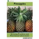 Pineapple (e-könyv)