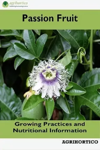 Passion Fruit (e-könyv)