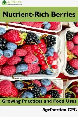 Nutrient-Rich Berries (e-könyv)