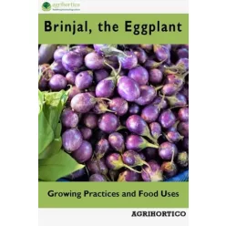 Brinjals, the Eggplant (e-könyv)