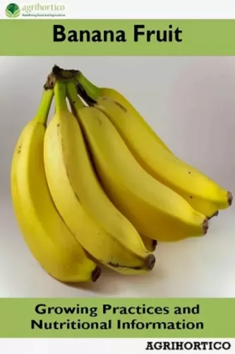 Banana Fruit (e-könyv)