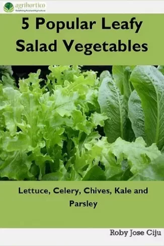 Roby Jose Ciiju - 5 Popular Leafy Salad Vegetables (e-könyv)