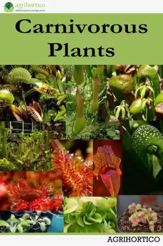 Carnivorous Plants (e-könyv)