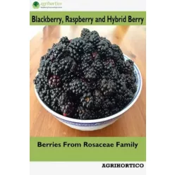 Blackberry, Raspberry and Hybrid Berry (e-könyv)