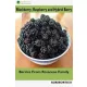 Blackberry, Raspberry and Hybrid Berry (e-könyv)