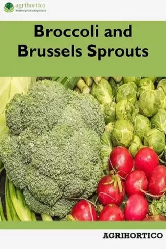 Broccoli and Brussels Sprouts (e-könyv)