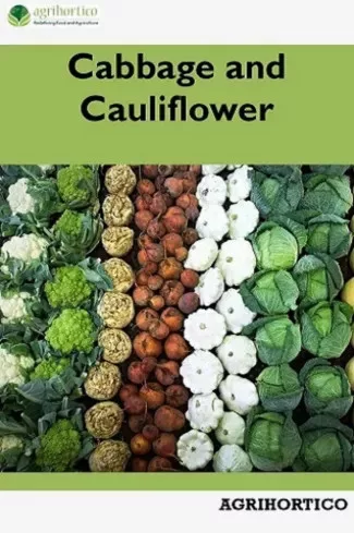 Cabbage and Cauliflower (e-könyv)