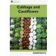 Cabbage and Cauliflower (e-könyv)