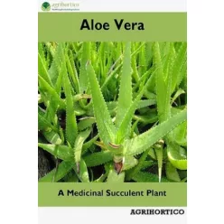 Aloe Vera (e-könyv)
