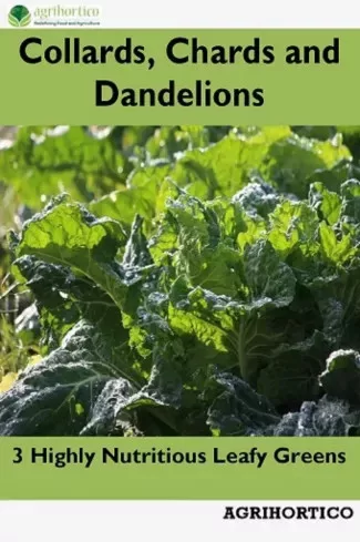 Collards, Chards and Dandelions (e-könyv)