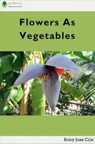 Roby Jose Ciiju - Flowers as Vegetables (e-könyv)
