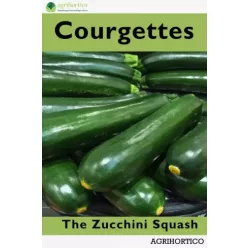 Courgettes (e-könyv)