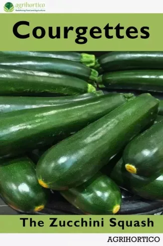 Courgettes (e-könyv)