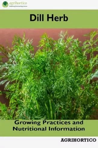Dill Herb (e-könyv)