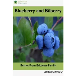 Blueberry and Bilberry (e-könyv)
