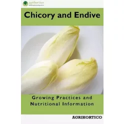 Chicory and Endive (e-könyv)