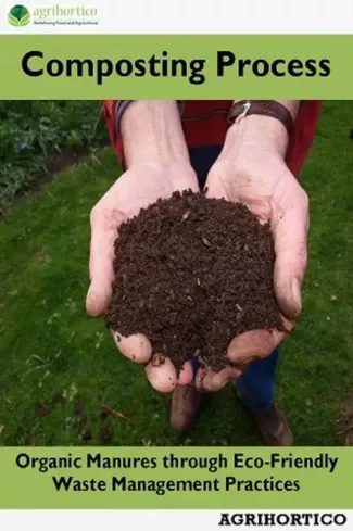 Composting Process (e-könyv)