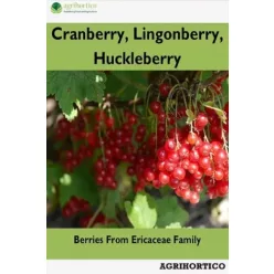 Cranberry, Lingonberry, Huckleberry (e-könyv)