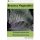 Roby Jose Ciiju - Brassica Vegetables (e-könyv)