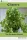 Roby Jose Ciiju - Cilantro, the Coriander Greens (e-könyv)
