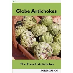 Globe Artichokes (e-könyv)