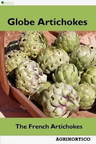 Globe Artichokes (e-könyv)