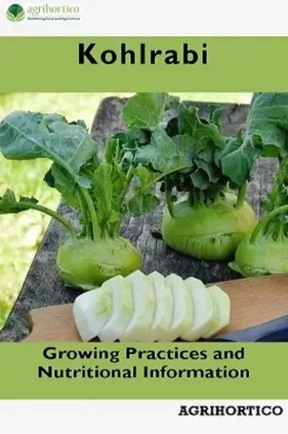 Kohlrabi (e-könyv)