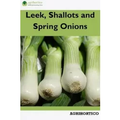 Leek, Shallots and Spring Onions (e-könyv)