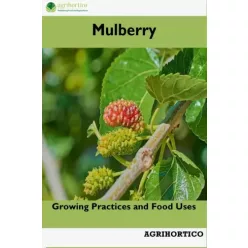 Mulberry (e-könyv)