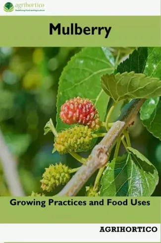 Mulberry (e-könyv)